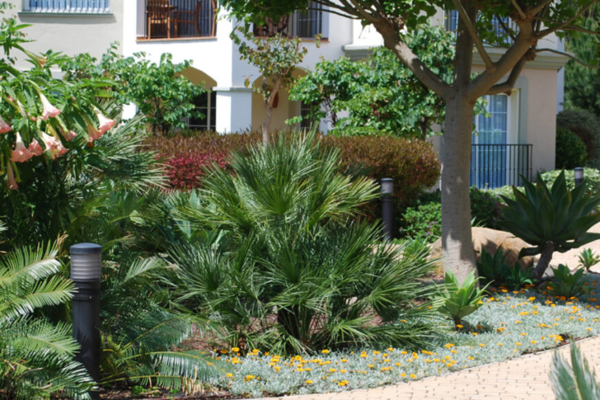 Marriott’s Playa Andaluza, Estepona