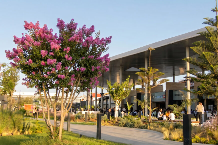 Mall of Rabat, Rabat