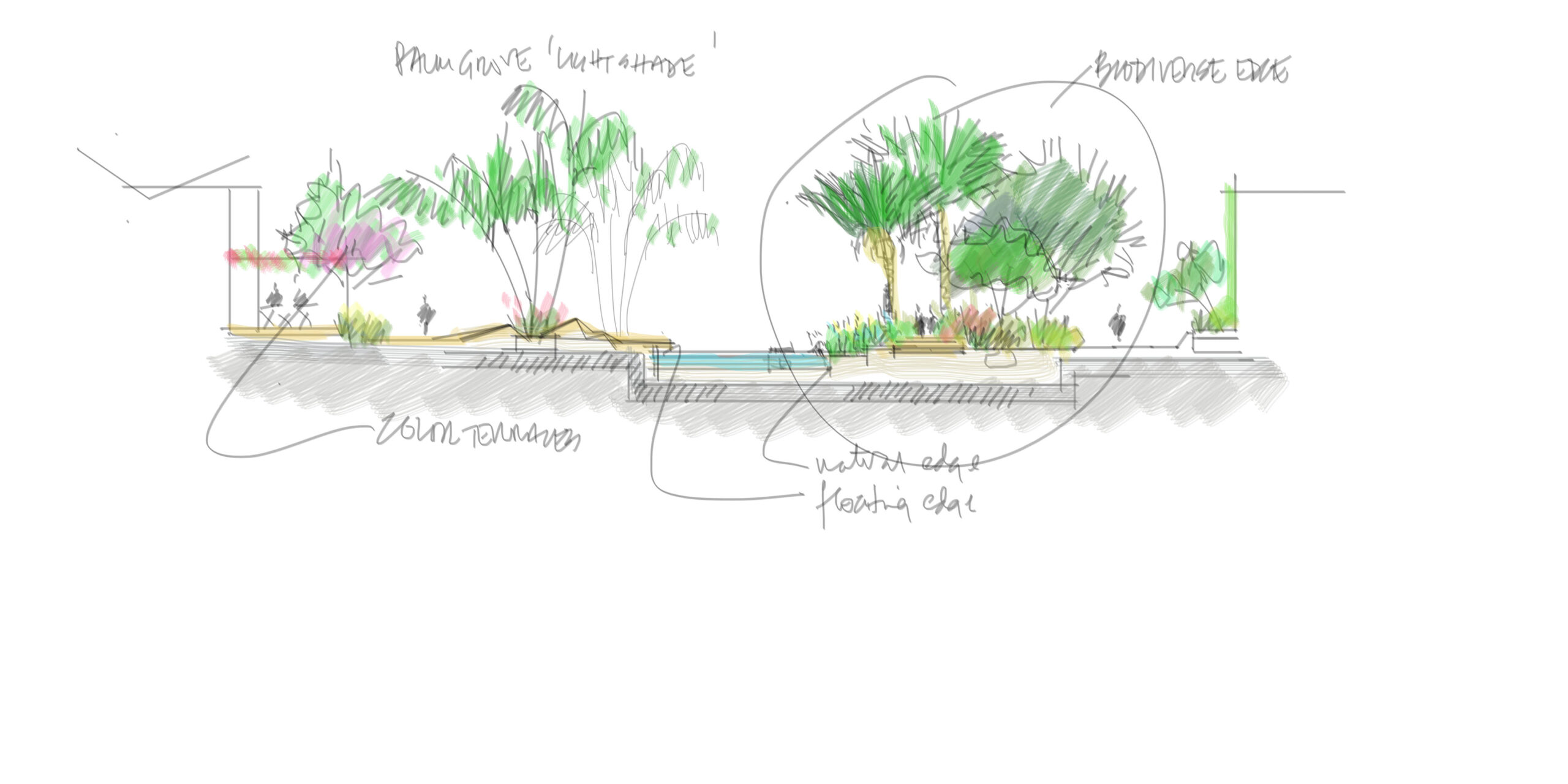 SC178-biodiverse edge