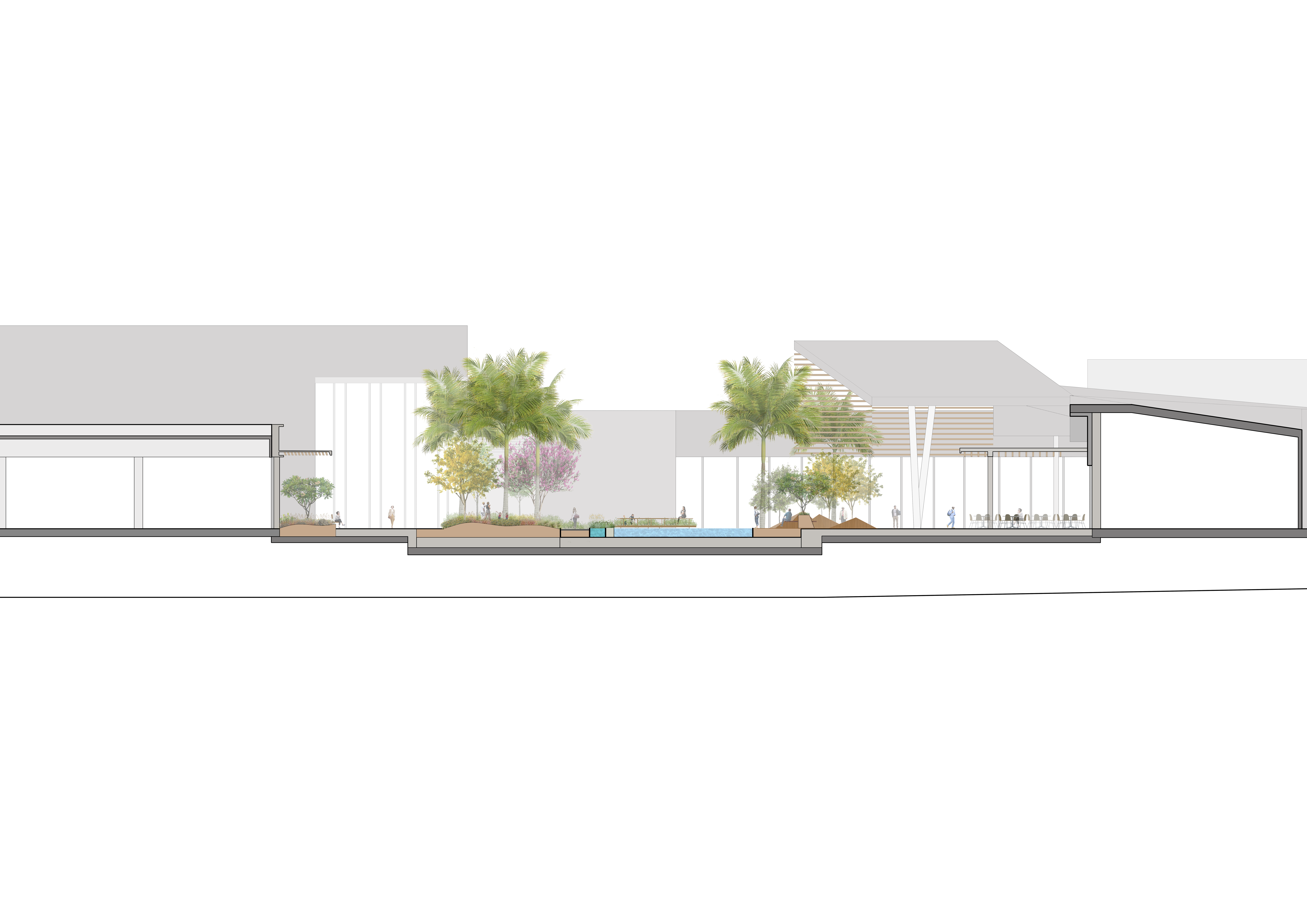 Transversal section 01