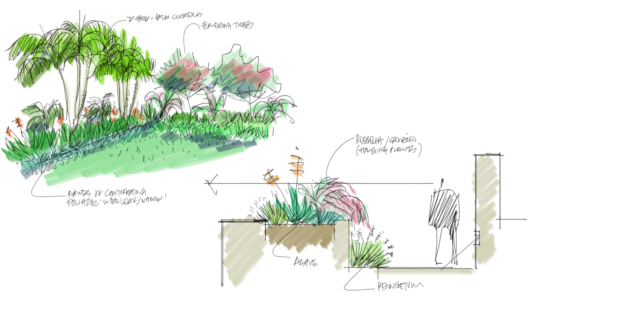 SC186- JB Planting sketches 1